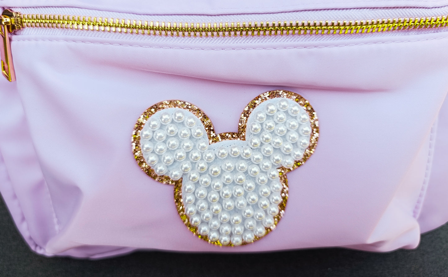 Disney World Themed Backpack